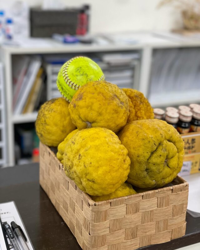 【本日は冬至】

今日は一年で1番お昼が短い日「冬至」になります。
ナンキン・柚子湯を堪能しましょう！🛀
とのことで、、
昨日よりお風呂用の柚子をお配りしてましたが、
完売となりました🍊🍊

まだまだ寒い日が続きますが、
防寒・体調管理には気を付けてお過ごしください！

#冬至 
#柚子湯 
#泉佐野市 
#泉南市 
#熊取町 
#貝塚市 
#整骨院 
#リード整骨院泉佐野 
#柚子配り